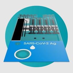 SARS-CoV-2 Ag Pool Test - LumiraDx - Clinical Diagnostics