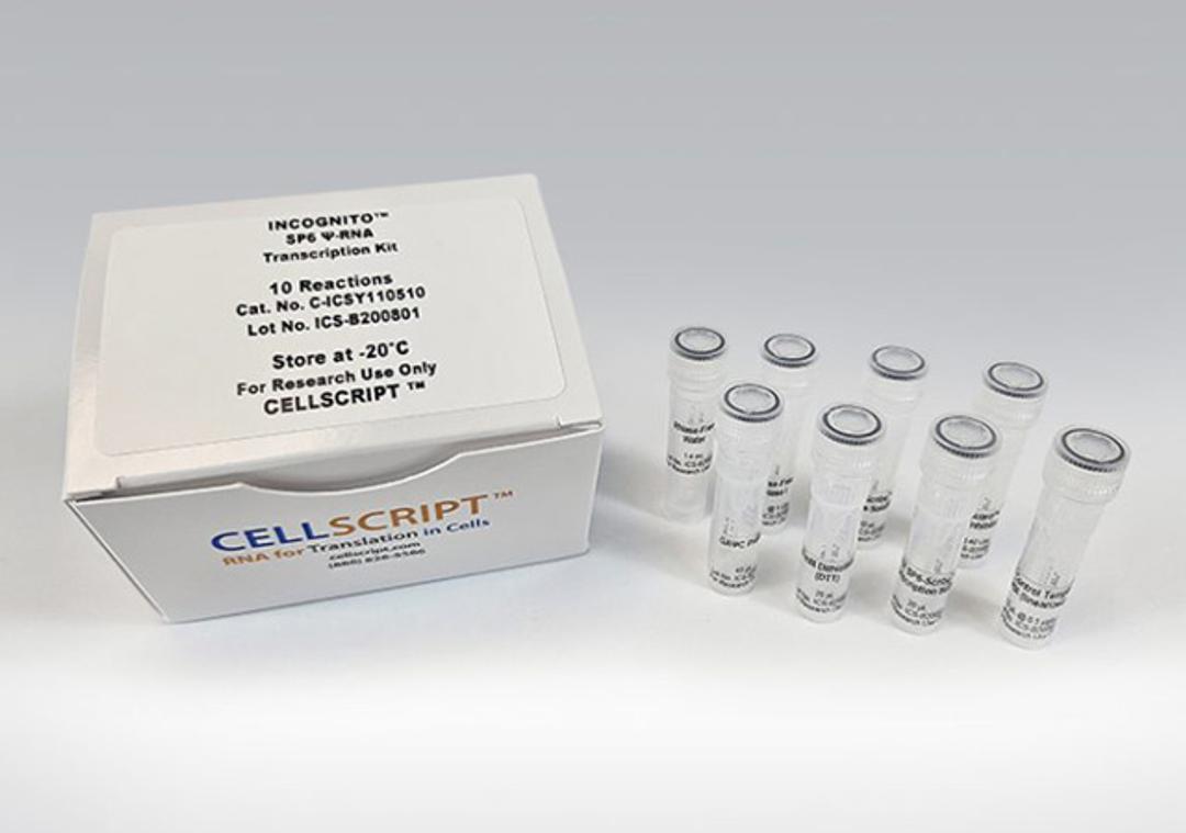 INCOGNITO™ SP6 Ѱ-RNA Transcription Kit - CELLSCRIPT™ - Life Sciences