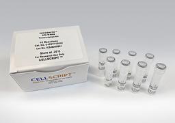 INCOGNITO™ SP6 Ѱ-RNA Transcription Kit - CELLSCRIPT™ - Life Sciences