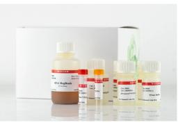 CELLDATA RNAstorm™ 2.0 MagBead FFPE RNA Extraction Kit - Biotium - Life Sciences