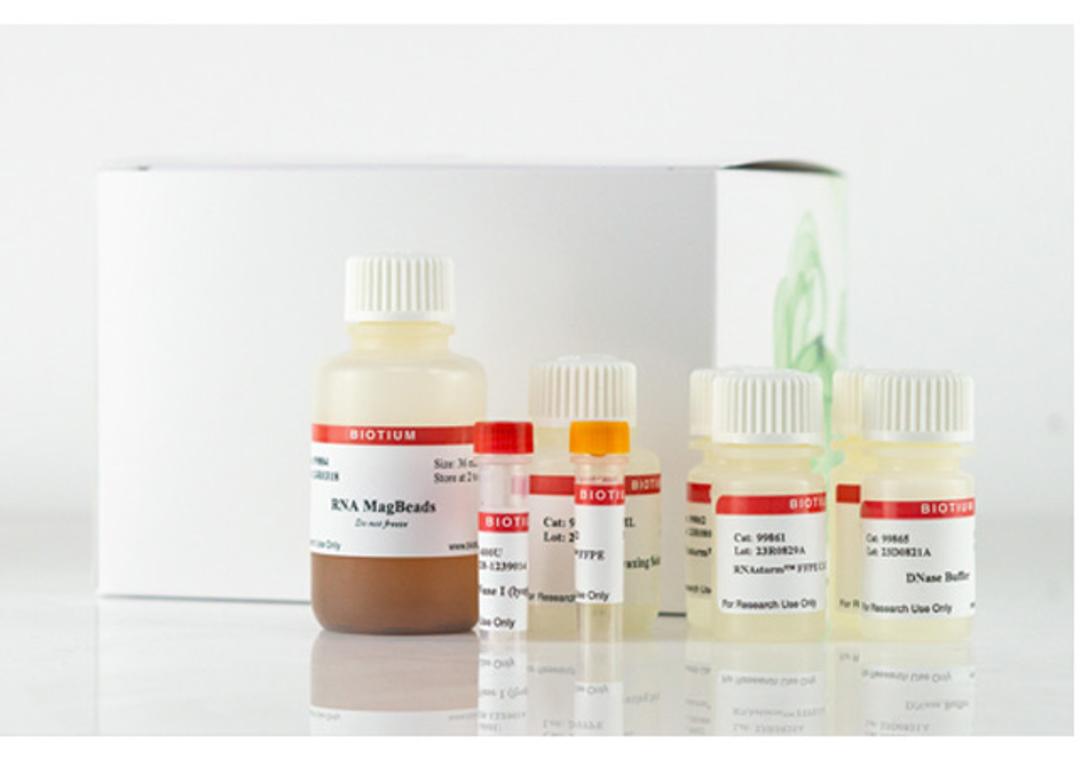 CELLDATA RNAstorm™ 2.0 MagBead FFPE RNA Extraction Kit - Biotium - Life Sciences
