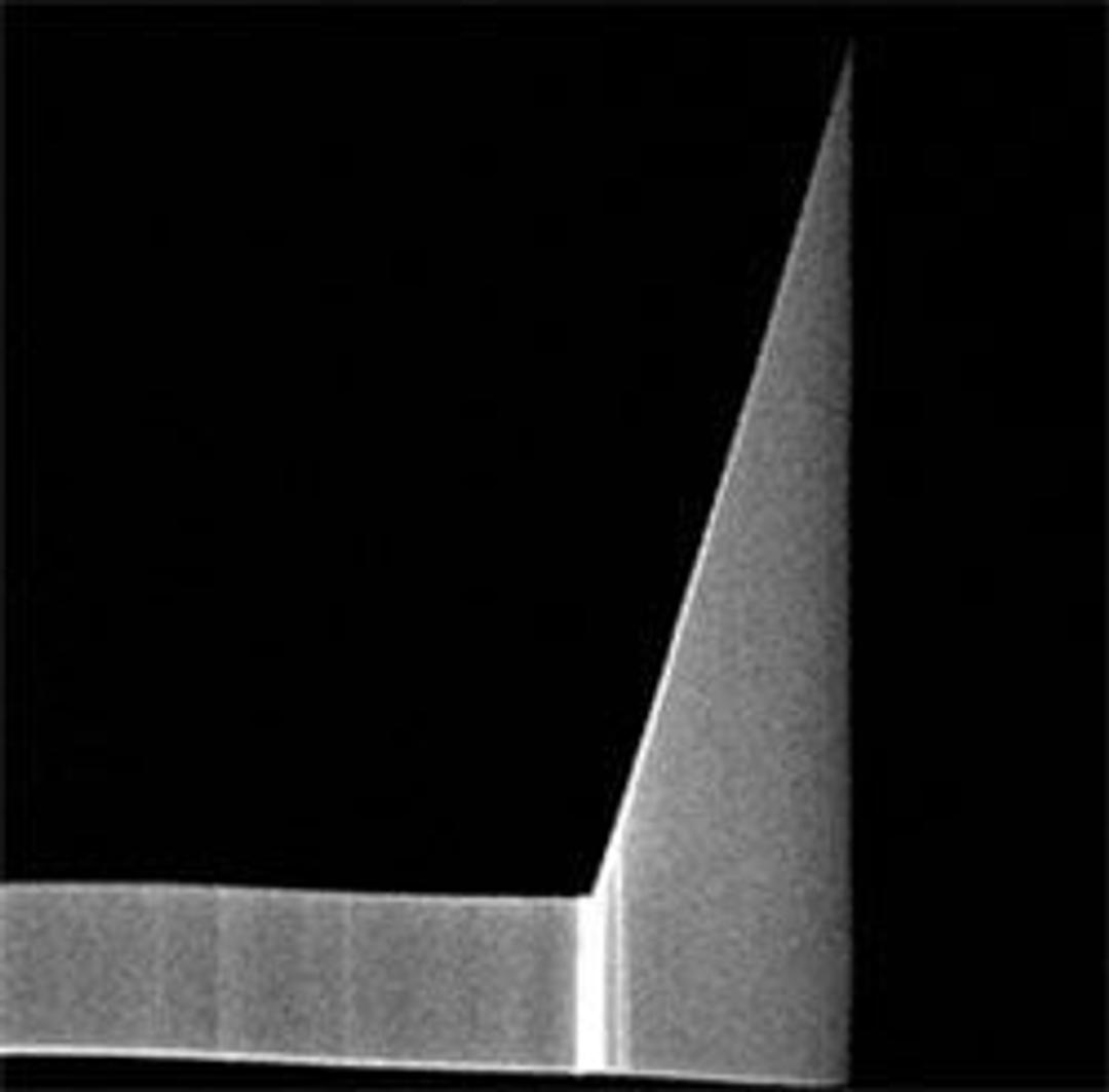 TETRA 15 Non-Contact AFM Probe - K-TEK Nanotechnology - Life Sciences