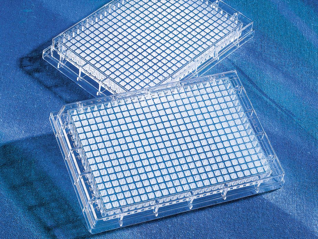 Corning® BioCoat™ Collagen I 384-well Clear Flat Bottom Microplate, 20/Pack, 80/Case - Corning Life Sciences - Life Sciences