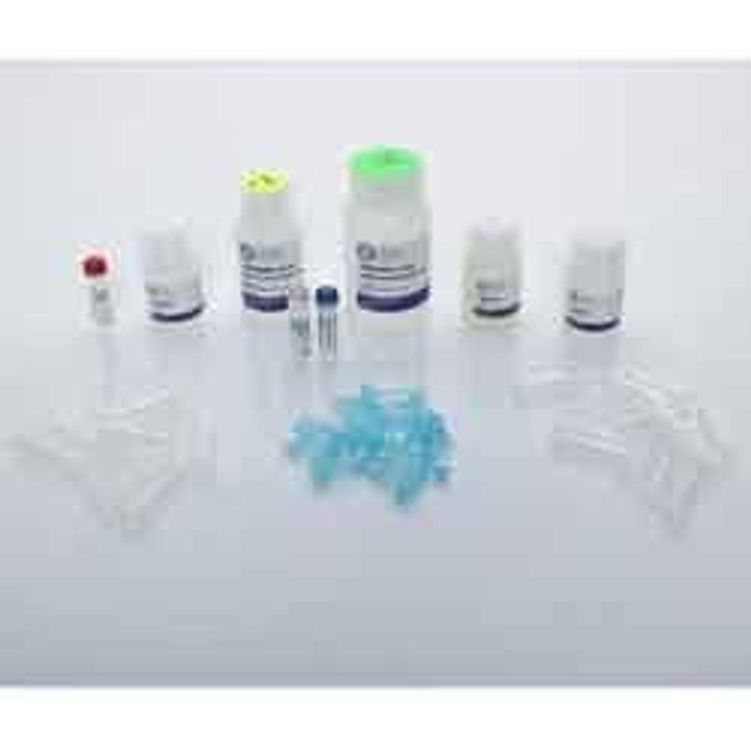 Bead Mill Bacteria DNA Kit - OMNI International Inc. - Life Sciences