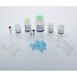 Bead Mill Bacteria DNA Kit - OMNI International Inc. - Life Sciences
