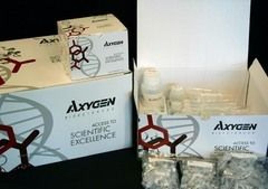 AxyPrep™ Multisource Genomic DNA Miniprep Kit - Axygen Scientific, Inc. - Life Sciences
