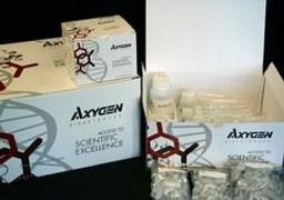 AxyPrep™ Multisource Genomic DNA Miniprep Kit - Axygen Scientific, Inc. - Life Sciences