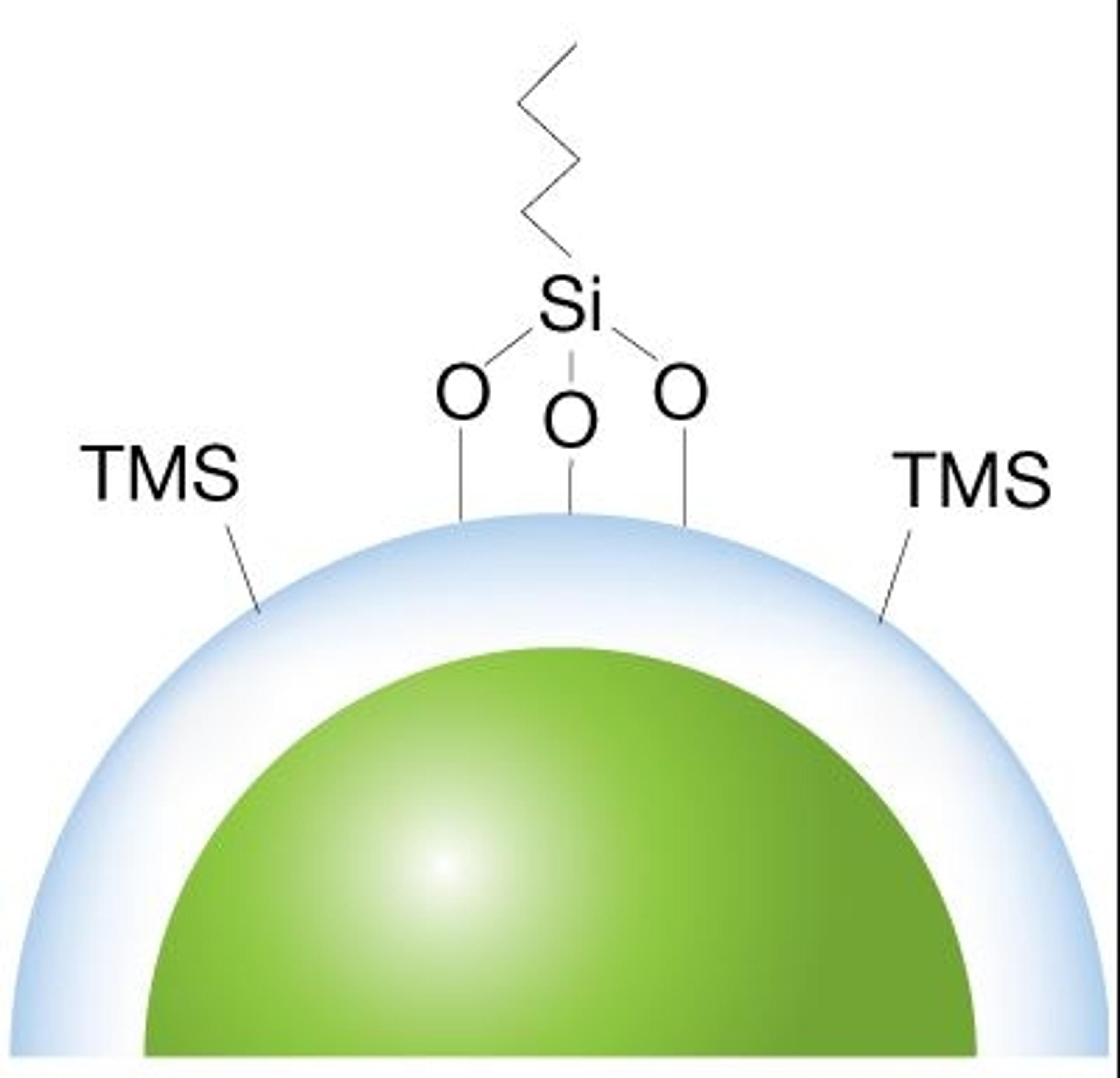 bioZen WidePore C4 - Phenomenex Inc - Separations