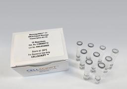 MessageMAX™ T7 ARCA-Capped Message Transcription Kit V2 - CELLSCRIPT™ - Life Sciences