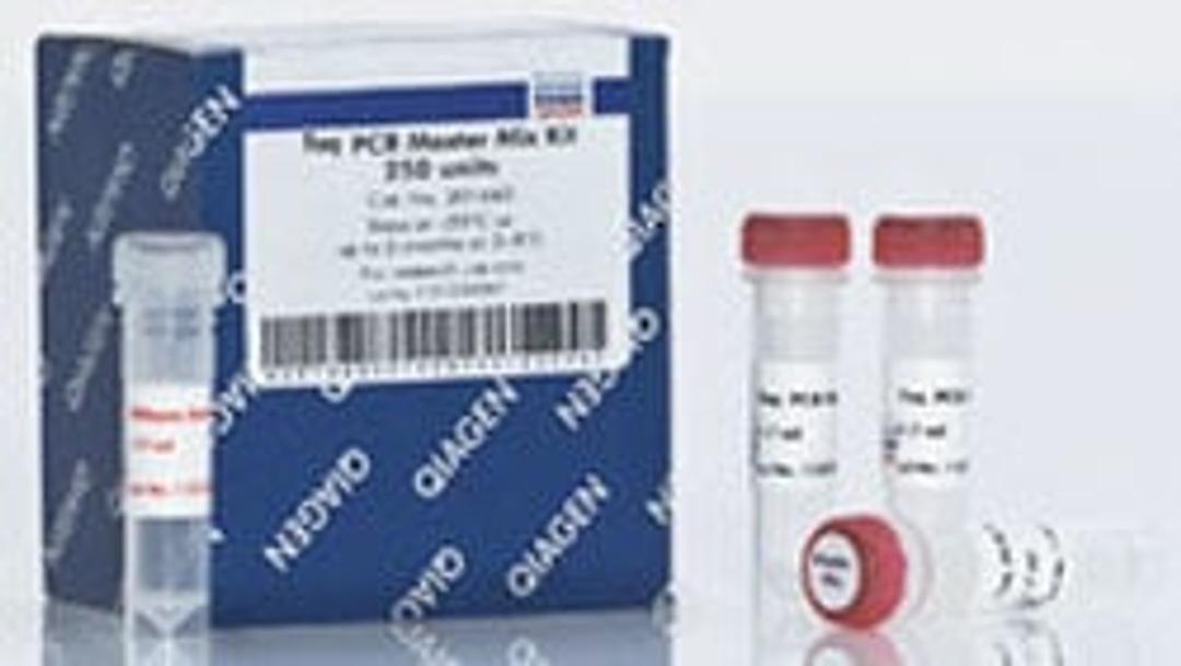 Taq PCR Master Mix Kit (250 U) - QIAGEN