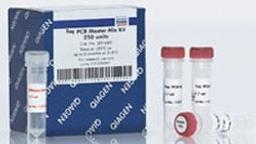 Taq PCR Master Mix Kit (250 U) - QIAGEN