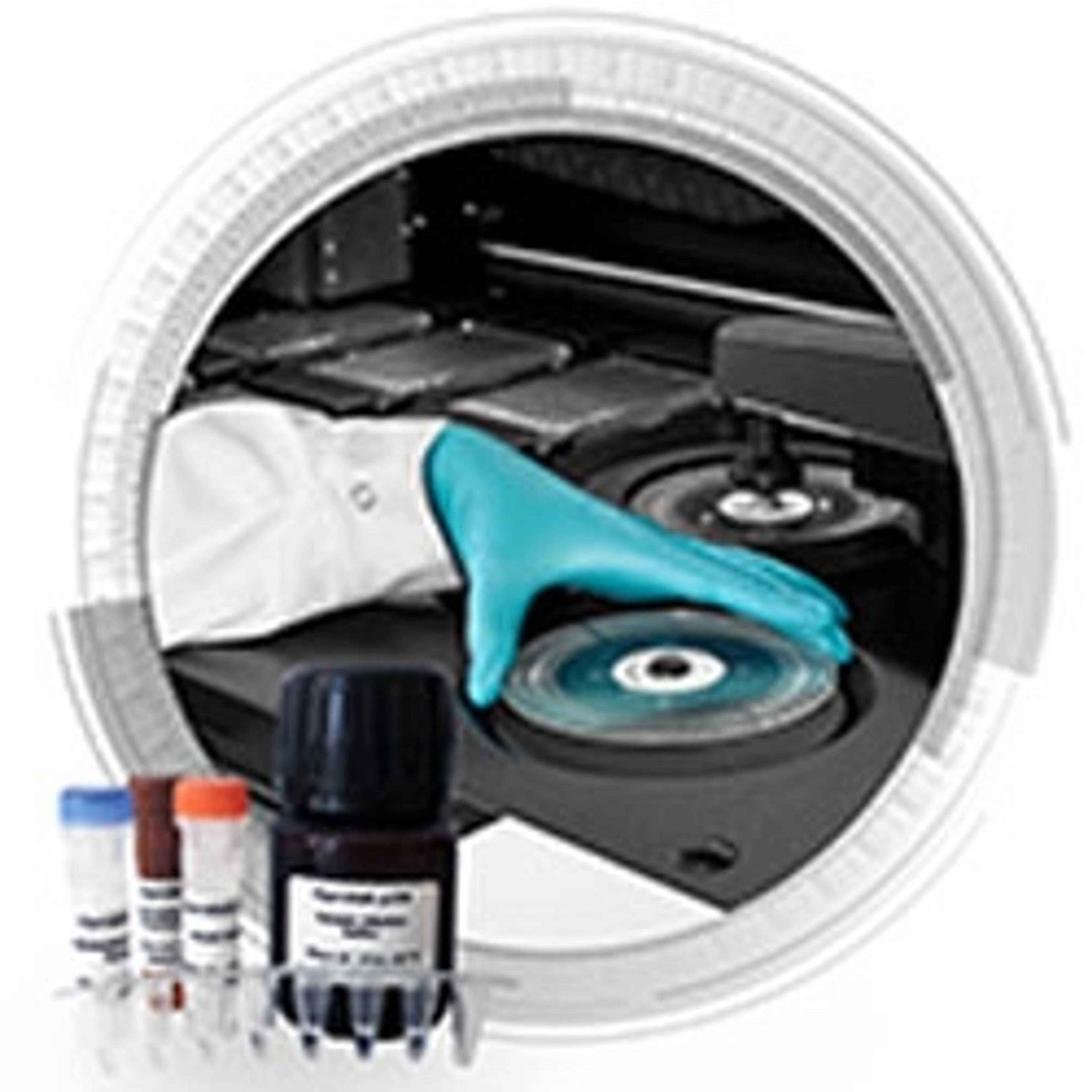 Gyrolab® p24 Kit - Gyros Protein Technologies - Life Sciences