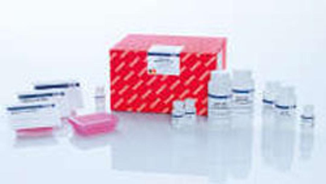 RNeasy 96 QIAcube HT Kit (5) - QIAGEN