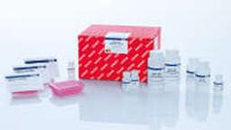 RNeasy 96 QIAcube HT Kit (5) - QIAGEN