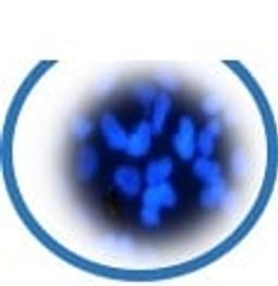 Mycoplasma testing - Cell Lines Service GmbH - Life Sciences