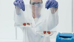 Seward Stomacher® 400 EVO Eco bags