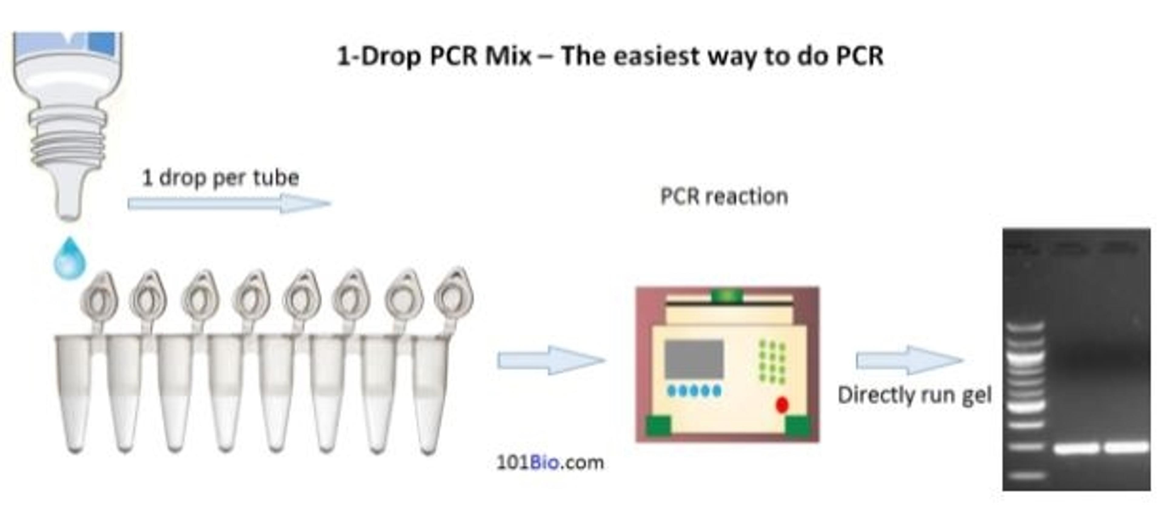 1-Drop PCR Master Mix - 101bio - Life Sciences