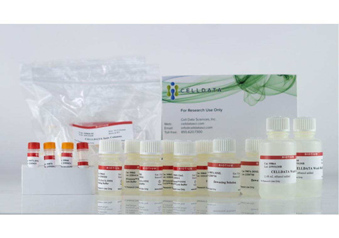 CELLDATA DNAstorm™/RNAstorm™ 2.0 Combination Kit - Biotium - Life Sciences