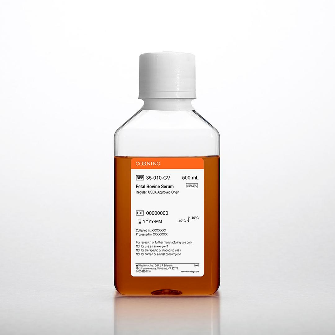 Corning® Fetal Bovine Serum, 500 mL, Regular, USDA Approved Origin - Corning Life Sciences - Life Sciences