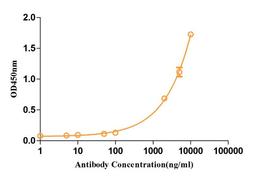 Anti-Human CD3 Recombinant Antibody (TAB-159)