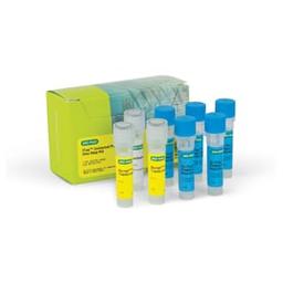 iTaq™ Universal Probes One-Step Kit, 500 x 20 µl rxns, 5 ml (5 x 1 ml) - Bio-Rad - Life Sciences