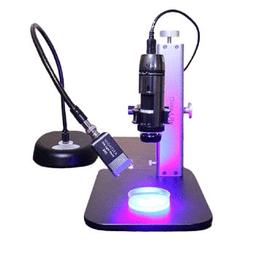InVivo FLite Microscope - InVivo Biosystems - Spectroscopy