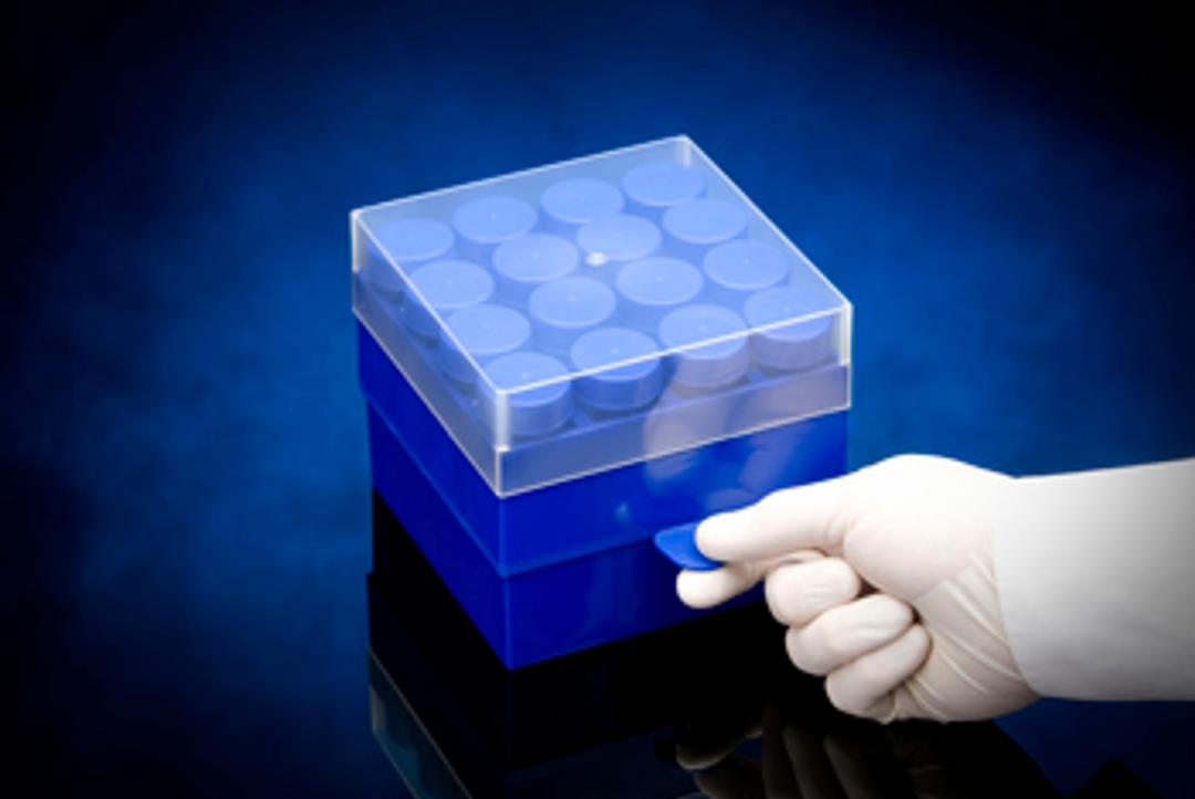 50mL Tube Rack - SSI - Scientific Specialties, Inc - Life Sciences