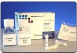 HitKit® HCS Reagent Kit for p38 MAPK Activation - null
