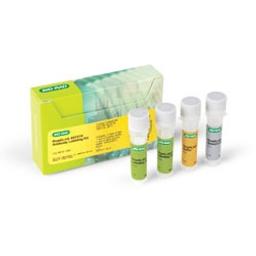 ReadiLink 492/516 Antibody Labeling Kit - Bio-Rad - Life Sciences