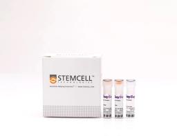 EasySep™ Human Pan-Granulocyte Isolation Kit - STEMCELL Technologies Inc. - Life Sciences