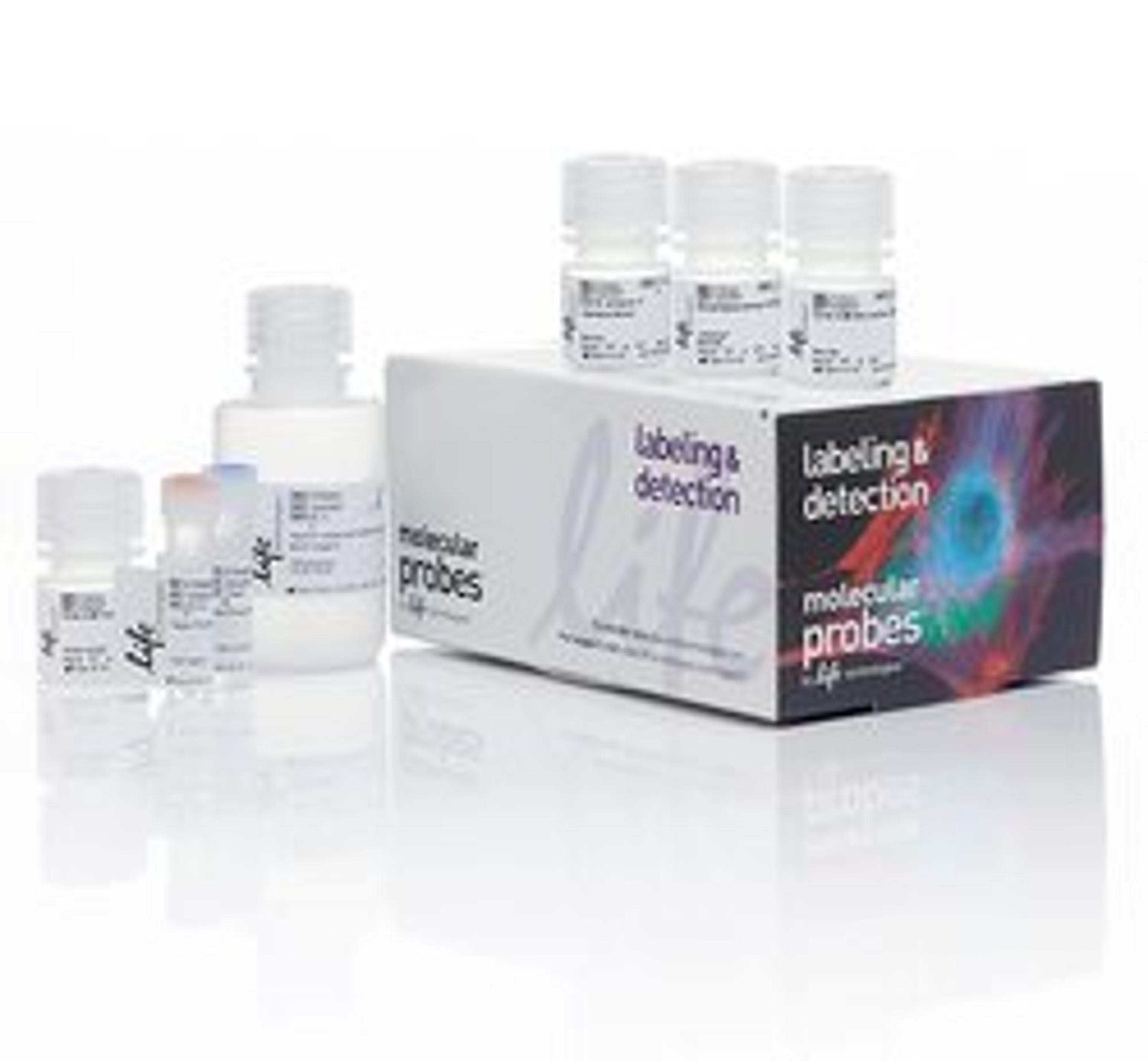 Invitrogen™ Click-iT™ Plus EdU Alexa Fluor™ 594 Flow Cytometry Assay Kit - Thermo Fisher Scientific - Life Sciences