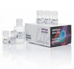 Invitrogen™ Click-iT™ Plus EdU Alexa Fluor™ 594 Flow Cytometry Assay Kit - Thermo Fisher Scientific - Life Sciences