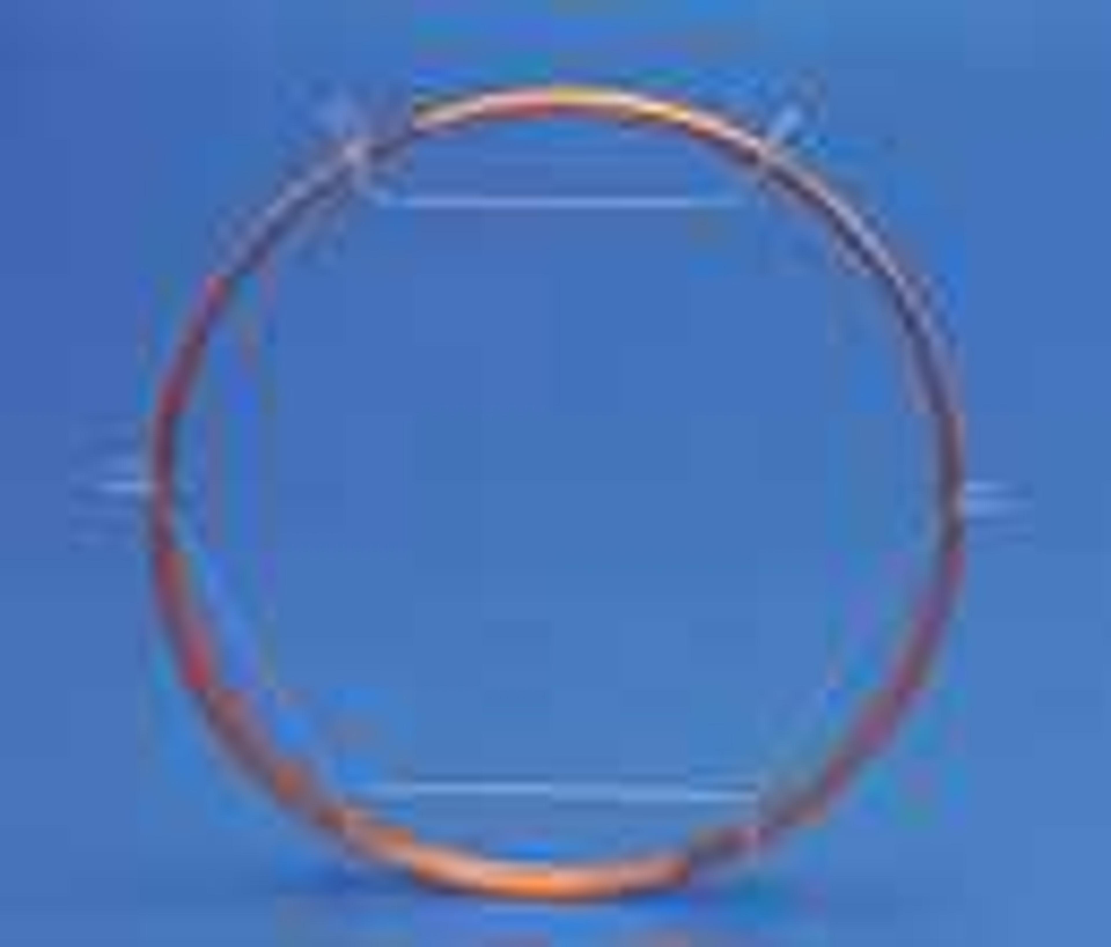 TRACE™ GC columns - Thermo Fisher Scientific - Separations