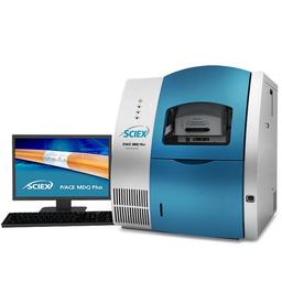 P/ACE MDQ Plus system - SCIEX - Separations