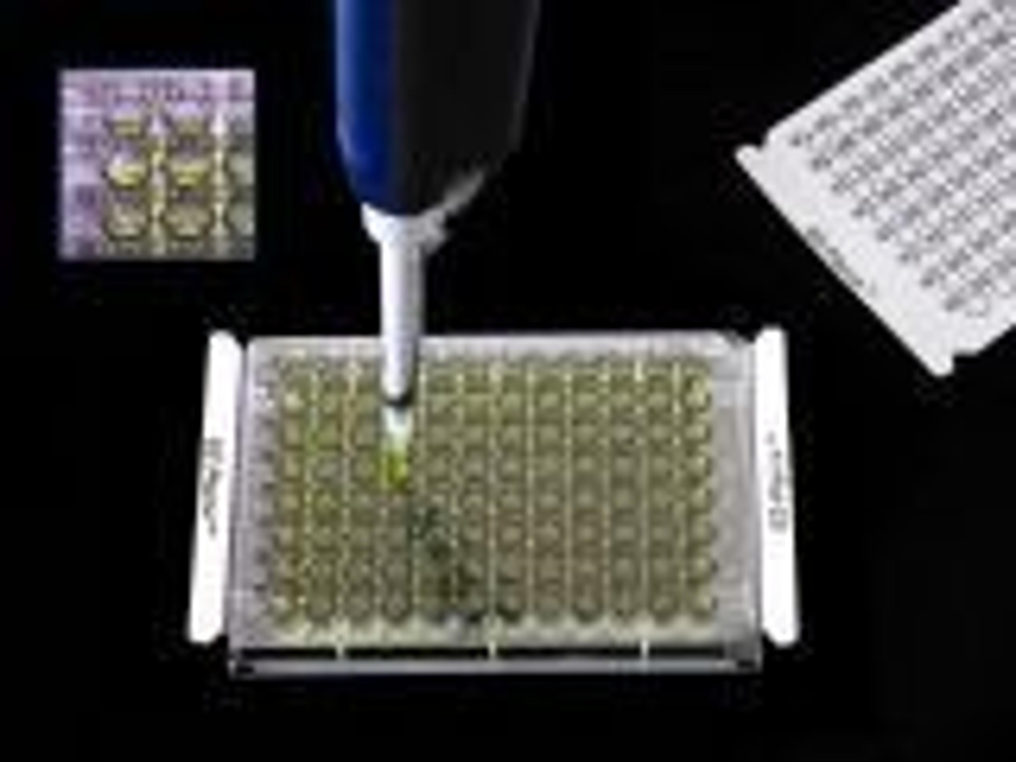 EZ-Pierce 96-Well Template Sealing Film - J.G. Finneran Associates, Inc - Life Sciences