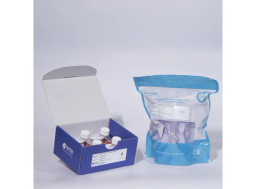 Precellys Multi-Tissue Dissociation Kit - Bertin Technologies - Life Sciences