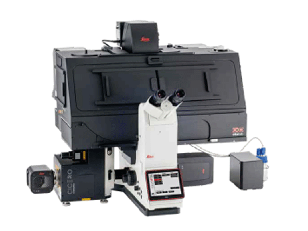 THUNDER Imager Cell Spinning Disk - Leica Microsystems Europe - Life Sciences