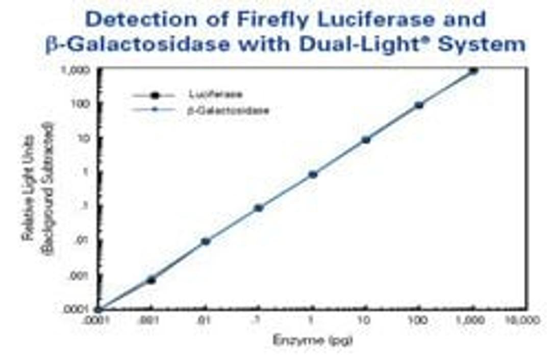 Dual-Light® Combined Reporter Gene Assay System for Detection of Luciferase and beta-Galactosidase - Thermo Fisher Scientific - Life Sciences