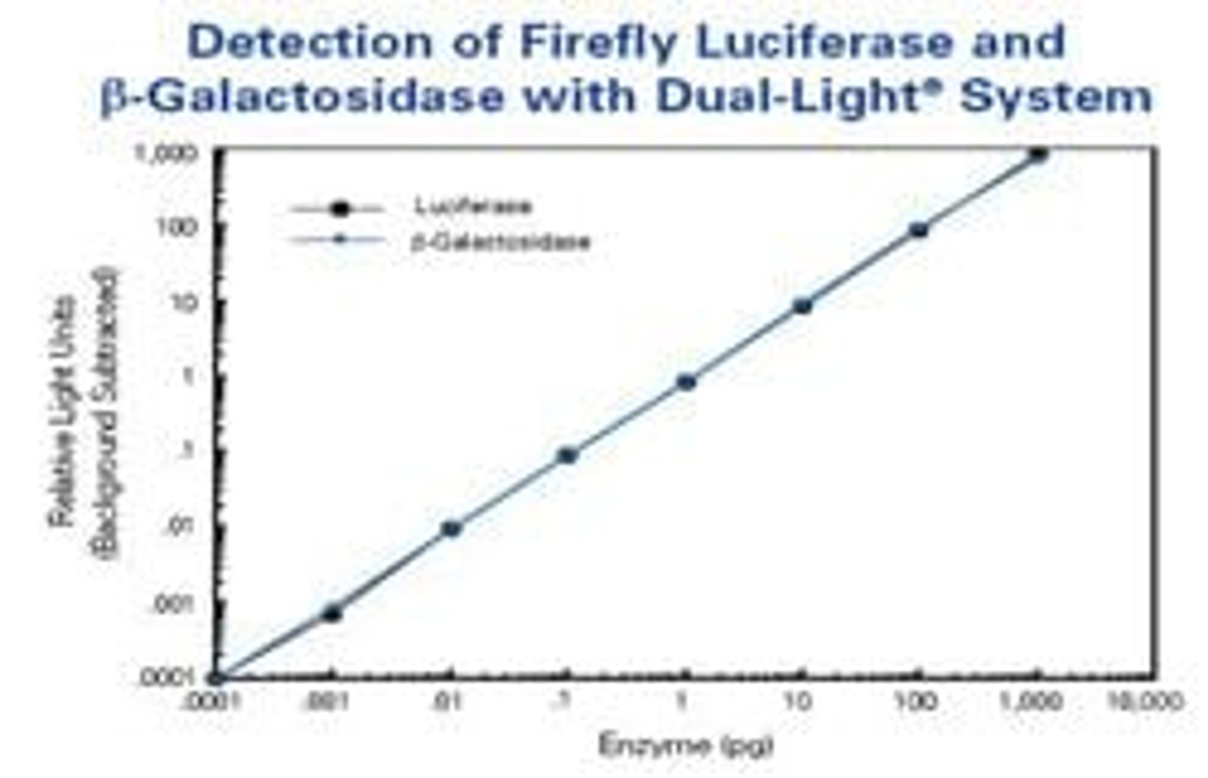 Dual-Light® Combined Reporter Gene Assay System for Detection of Luciferase and beta-Galactosidase - Thermo Fisher Scientific - Life Sciences