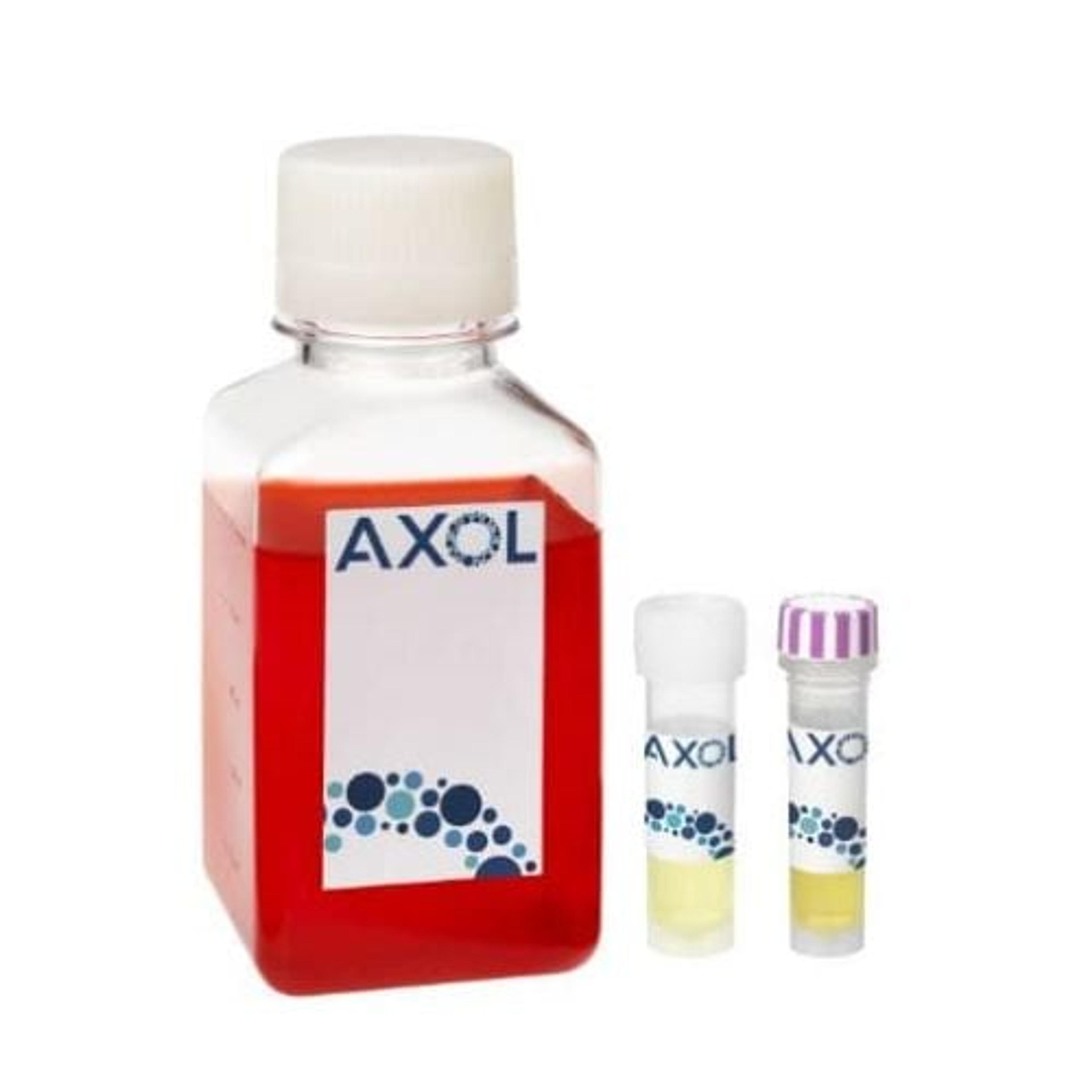 axoCells™ Human iPSC-Derived Striatal Neuron Media and Supplement kit - Axol Bioscience - Life Sciences