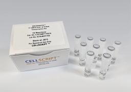 INCOGNITO™ T7 ARCA 5mC- & Ψ-RNA Transcription Kit - CELLSCRIPT™ - Life Sciences