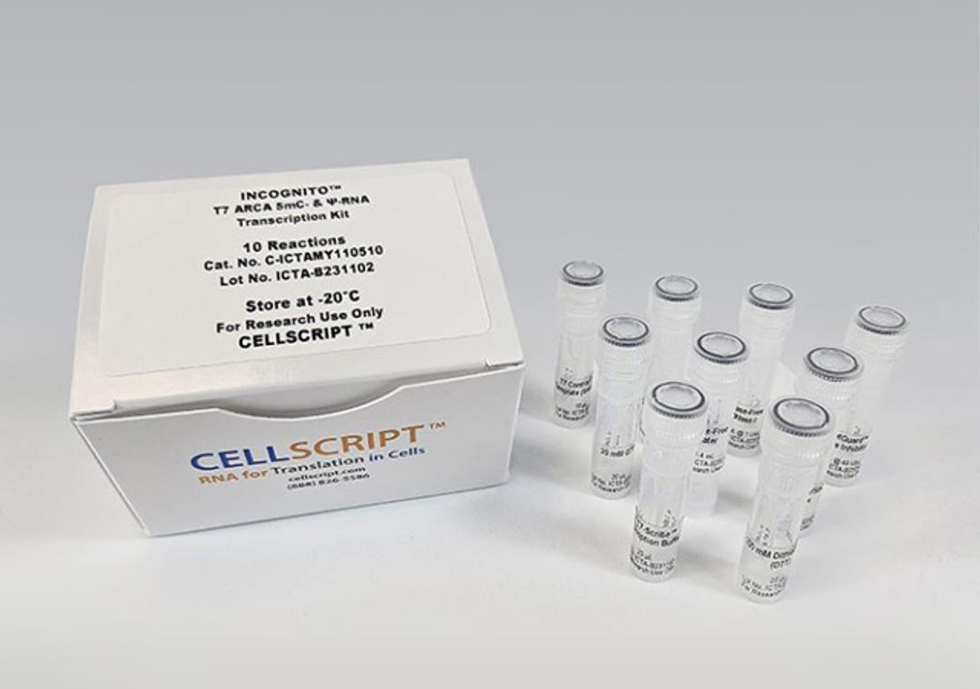 INCOGNITO™ T7 ARCA 5mC- & Ψ-RNA Transcription Kit - CELLSCRIPT™ - Life Sciences