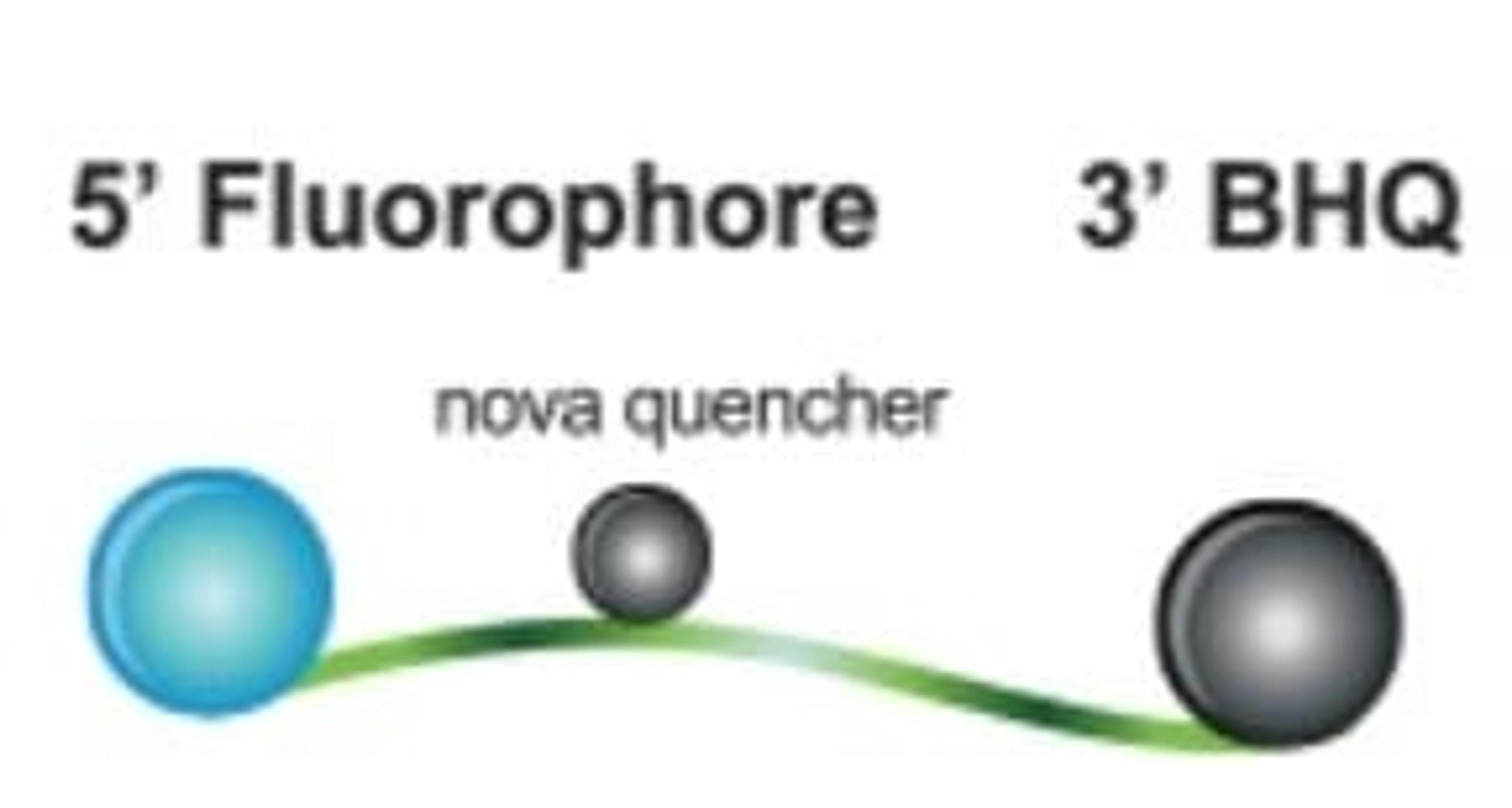 BHQnova™ Probes - LGC Biosearch Technologies - Life Sciences
