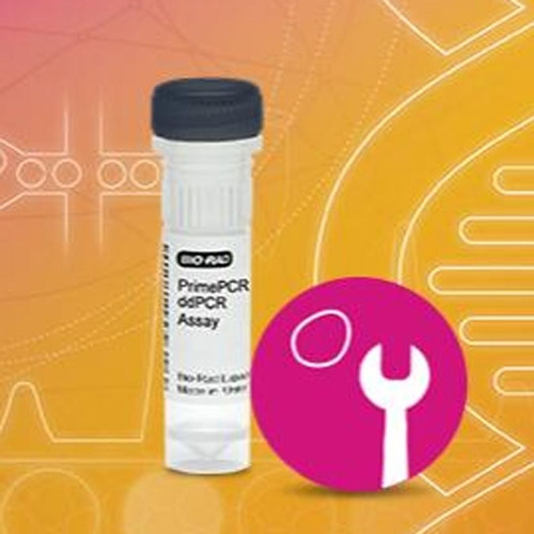 ddPCR Cell and Gene Therapy Assays - Bio-Rad - Life Sciences