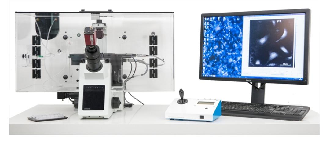 VL21 Live Cell Imaging - Phasefocus - Life Sciences
