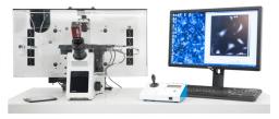 VL21 Live Cell Imaging - Phasefocus - Life Sciences