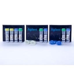 XL1-Blue MRF' Kan Library Pack Competent Cells - Agilent Technologies - Life Sciences