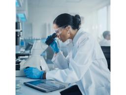 Spatial Biology and Digital Pathology Services - Crown Bioscience - Drug discovery > Pre-Clinical Development