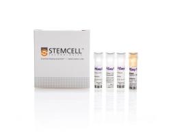 EasySep™ Mouse FITC Positive Selection Kit II - STEMCELL Technologies Inc. - Life Sciences