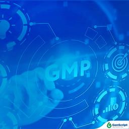 GMP peptide Service - GenScript - Drug Discovery & Development